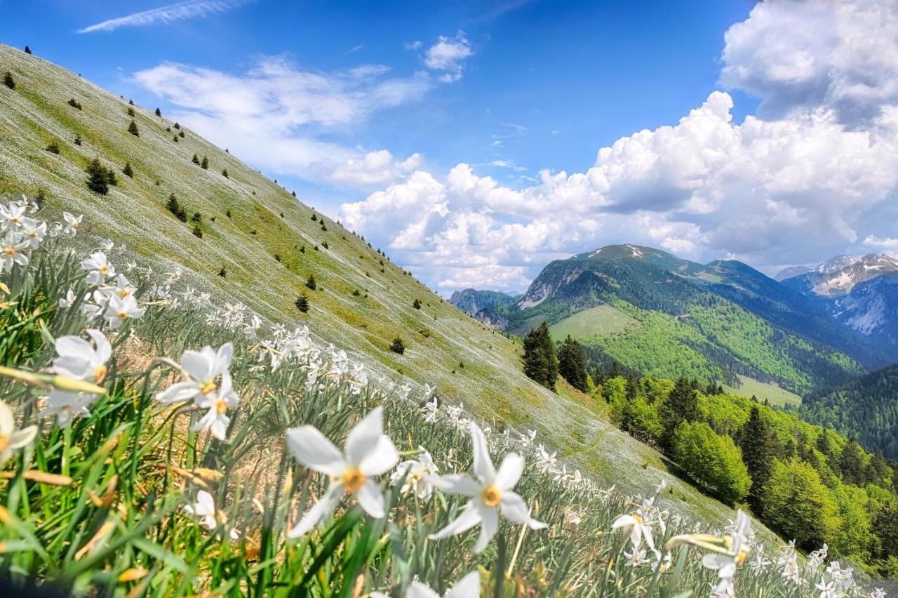 Apartments Pri Fencu Jesenice Zewnętrze zdjęcie