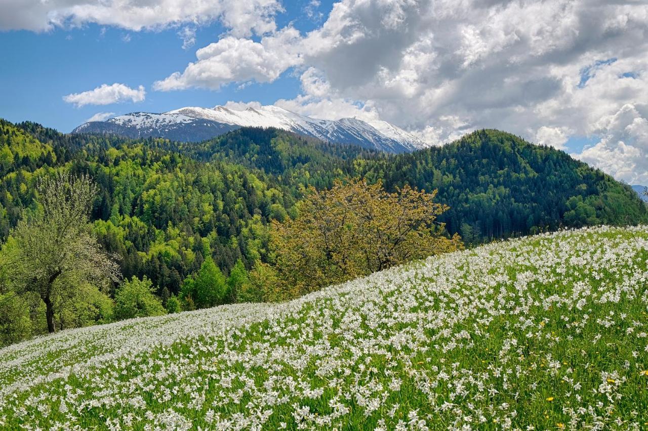 Apartments Pri Fencu Jesenice Zewnętrze zdjęcie